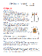 Appendix - SOR President Training Guide 2025.pdf